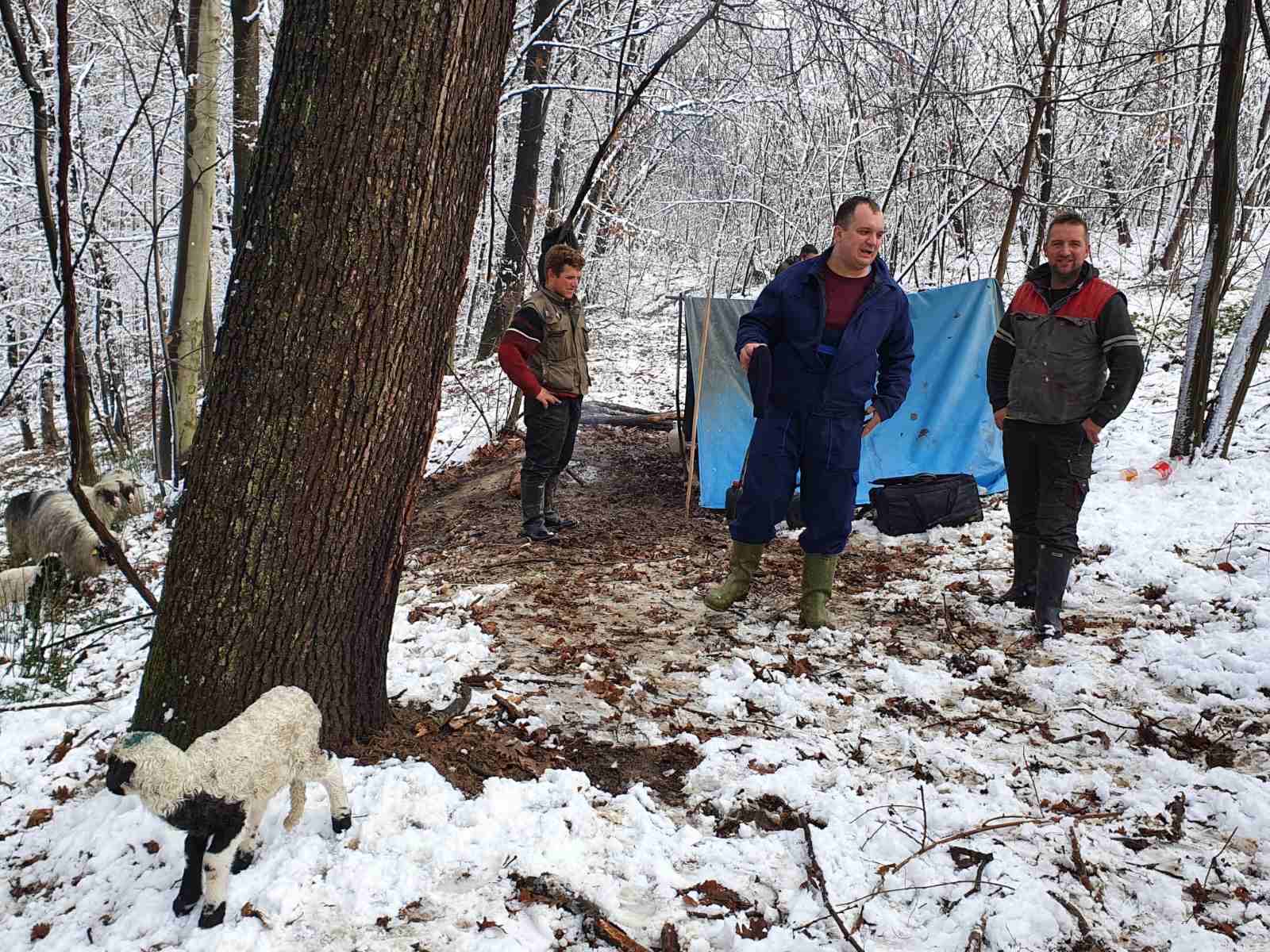 Jedni od posljednjih bosanskih nomadi su braća Tahirović: Gotovo cijelu godinu žive na otvorenom
